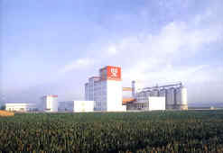 面业排名_平面构成面的构成图片(3)