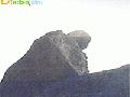 ʯɮ����