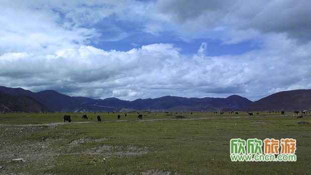 依拉草原 依拉草原