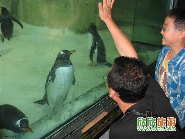 ʥ�ǿɰ������