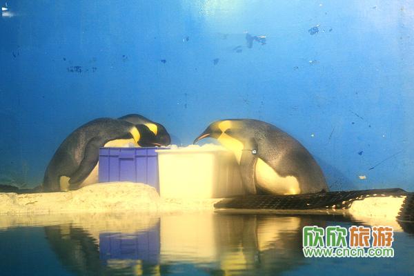 �ȵ��ܲ��˵����