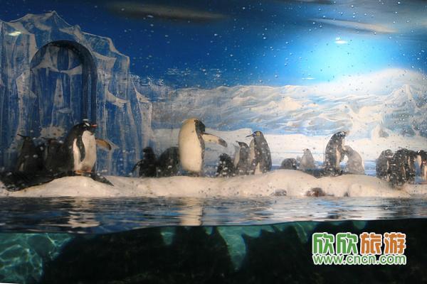 ��װ���������