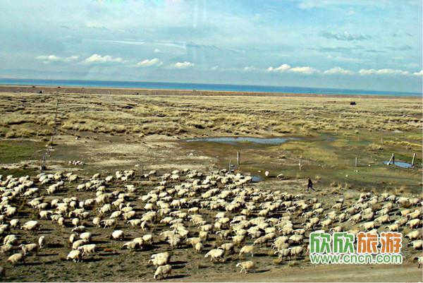 �������ι���ͼƬ