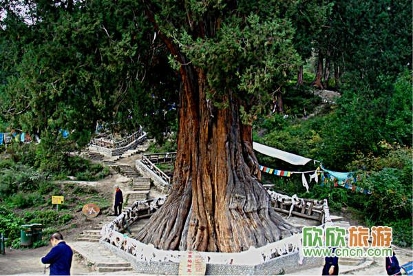 �������ι���ͼƬ