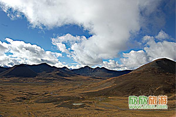 ����������ͼƬ