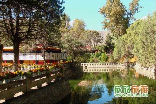 �������ι���ͼƬ