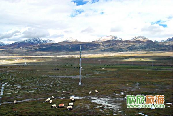 ���ؾ���ͼƬ