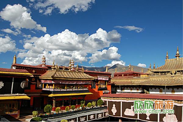 ����������ͼƬ