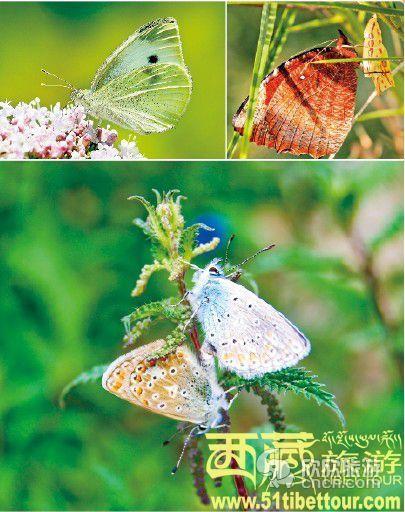 �����ĺ���