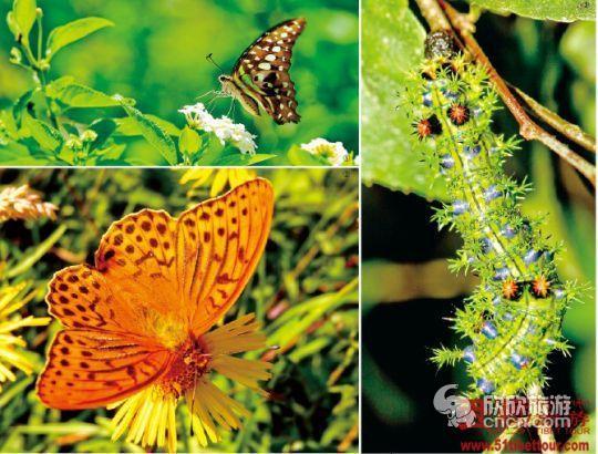 ��������,���ж�!��