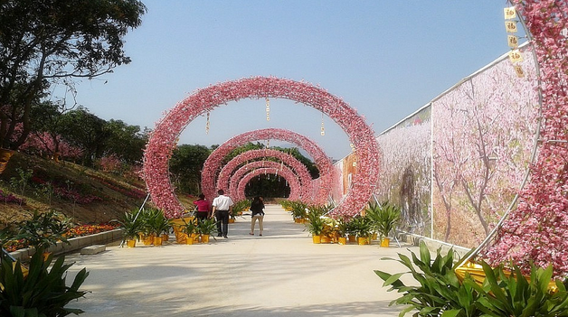 富丽湾桃花岛_富丽湾桃花岛风景图片_江门旅游网