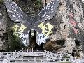 �人����³ľ�롢����˹����³�������ѹ������11����