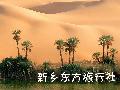 ���絽����ɳ��ͷ���ȶ����ԭ������ʪ�ء���կ��������������