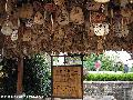 昆明、大理、丽江至尊纯玩双飞七日游(全程五星酒店)