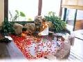 许昌花都温泉门票特价70元