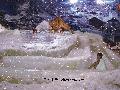 富都飘雪温泉