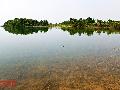 �˲���λ���� �ĺ�ˮ�⡢�������������г̷��� �˲����鱨��