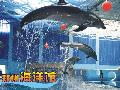 洛阳代售郑州海洋馆自驾游门票75元(限洛阳地区)
