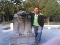 洛阳导游服务小乜