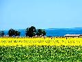 �ຣ������ �ؼ��Ƽ��ຣ������ �ຣ���������¡��������״�