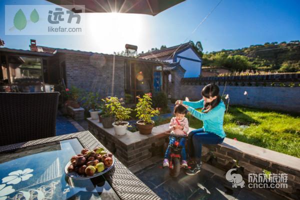 ���ӱ�̨����һ�쾲�׵����ʱ�� �����������Ʊ�̨��Ӷȼٹ���