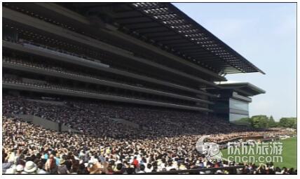 �ձ��������֡����������й��ο��������Ź۹���Ŀ