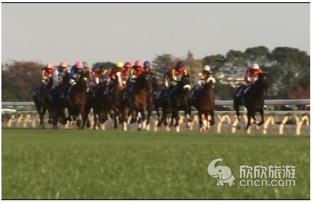 �ձ��������֡����������й��ο��������Ź۹���Ŀ