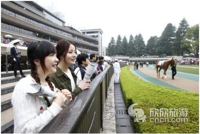 �ձ��������֡����������й��ο��������Ź۹���Ŀ