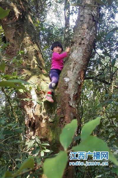 4岁女童随父母游中国:不想让孩子成为一个乖宝宝