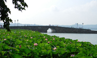 忆江南,最忆是杭州,浓烈的美景无不让人神往,西湖与千岛湖的绝美风光,还有千年古镇--乌镇与西塘…