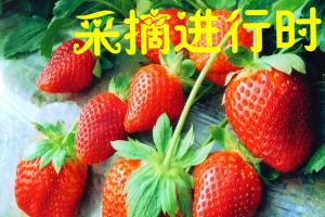 -������ʲô����ľ���(ת�ش���ָ����)