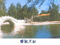 ţ��֯Ů�������