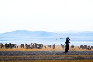 探秘羌塘无人区,洗涤心灵尘土