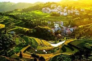 大家好,给大家介绍一下,这是“温州永嘉茗岙梯田”