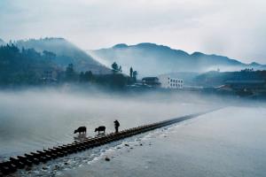 浙江福建边界的900年古镇,2018的养老处