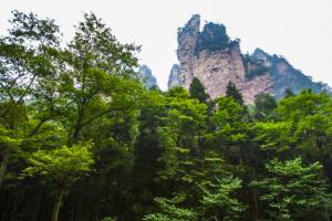 2019张家界自由行攻略(二):武陵源风景名胜区