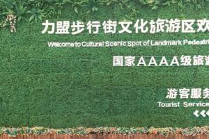 这个夏天,打个飞的去西宁赏花避暑逛大街!
