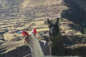 不能轻视的秘鲁彩虹山:老废青的登山经过 + 注意事项