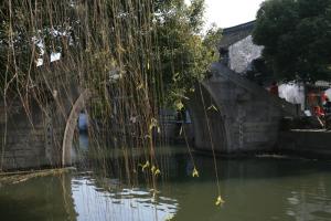 就是不爱凑热闹——点评那些魔都的冷门景点(三)