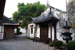 门票0元,打卡上海小众好玩的地方