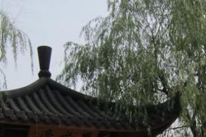 杭州游记:西湖与灵隐寺