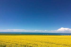 青海湖自由行攻略