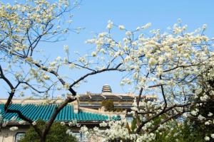 湖北春季“十大赏花游”线路 最全的赏花攻略来了
