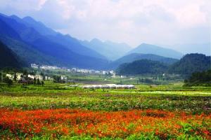 重庆2021年春季赏花路线攻略