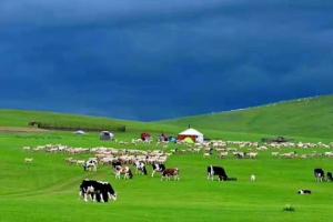 夏季旅游地推荐,夏季哪里旅游最好