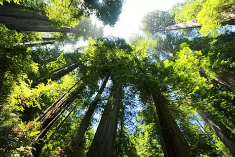 峨嵋山攻略