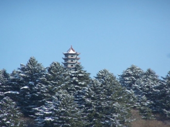 �����ҹ���ɭ�ֹ�԰