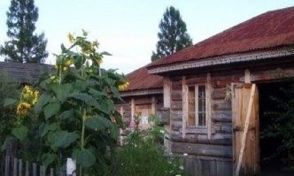 ֪��Ӱ�ӻ���