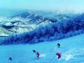 吉林松花湖滑雪场
