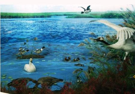 ĪĪ����Ҽ���Ȼ������